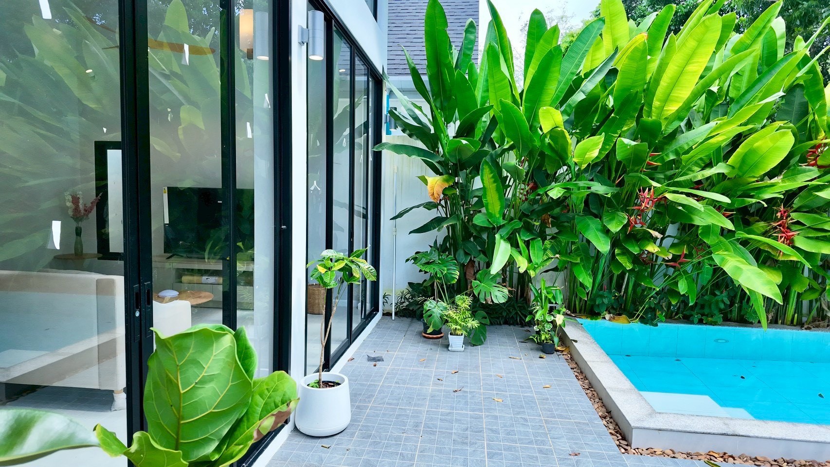 บ้านเดี่ยว 2 ห้องนอน ป่าคลอก · พูลวิลล่าพร้อมอยู่ ขายเพียง 5.5 ล้านบาท ✨ โซนป่าคลอก บ้านพารา รูปที่ 5