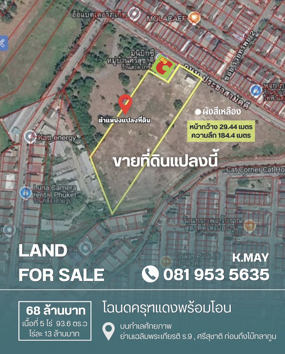 ที่ดิน เมือง · npwealthyasset รูปที่ 1