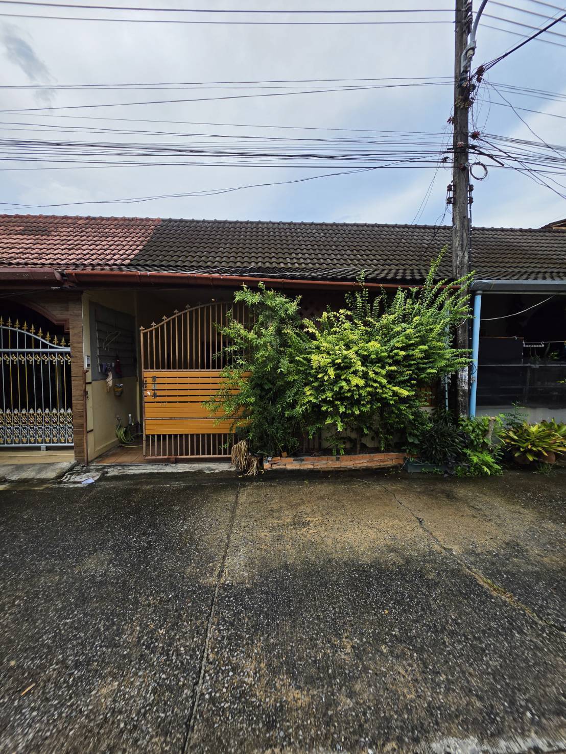 บ้านเดี่ยว 2 ห้องนอน ฉลอง · บ้านโซนป่าหล่าย ฉลอง ขายตามสภาพ บ้านสภาพดี รูปที่ 1