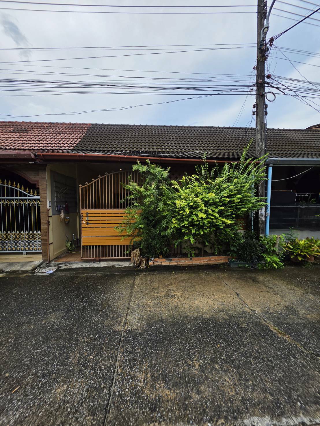 บ้านเดี่ยว 2 ห้องนอน ฉลอง · ✅️ 18 ตารางวา ** รูปที่ 1